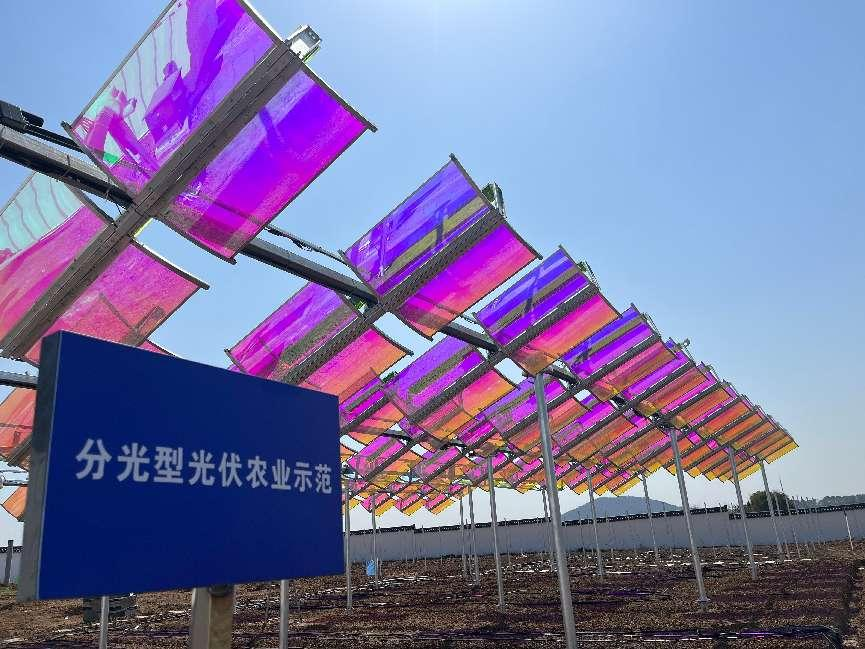 向陽而生，與光共舞——高資100MW光伏項(xiàng)目破土成章，勻光分光間書寫"雙碳"詩行